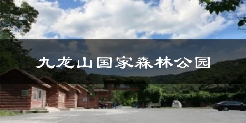 九龙山国家森林公园今日天气